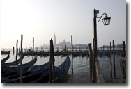 Overlooking the lagoon